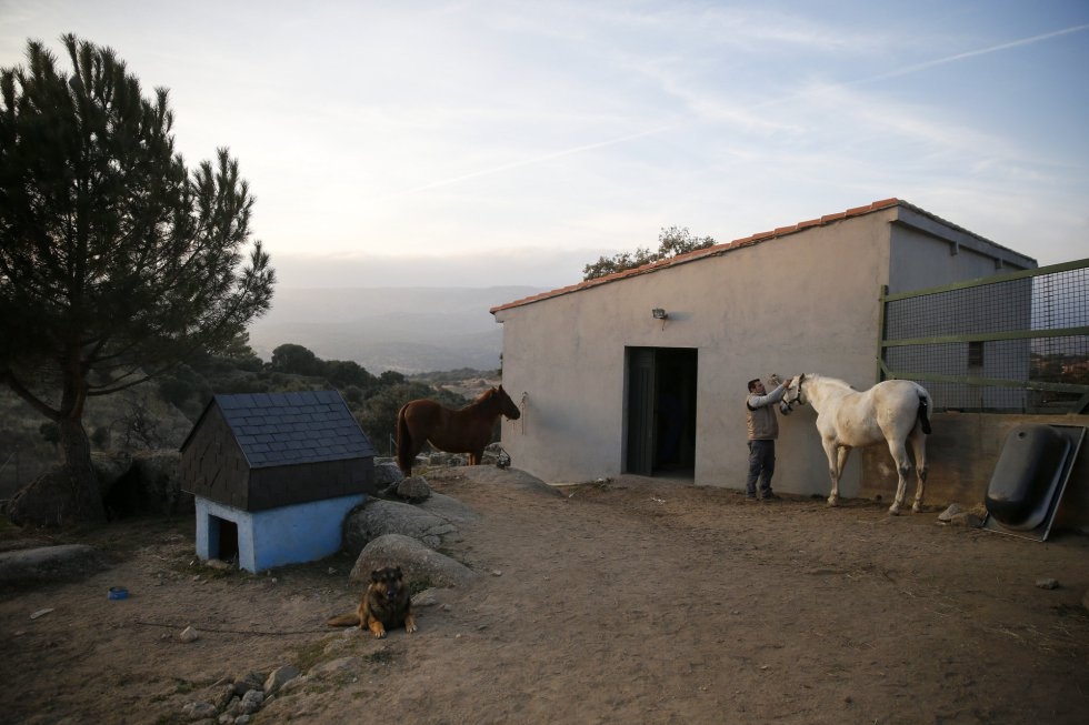 le hoi cuoi ngua nhay qua lua Tay Ban Nha anh 1