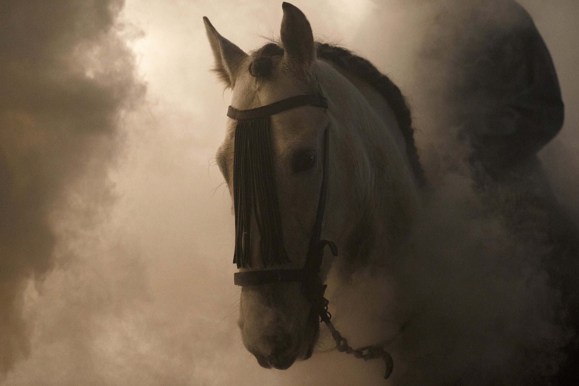 le hoi cuoi ngua nhay qua lua Tay Ban Nha anh 14