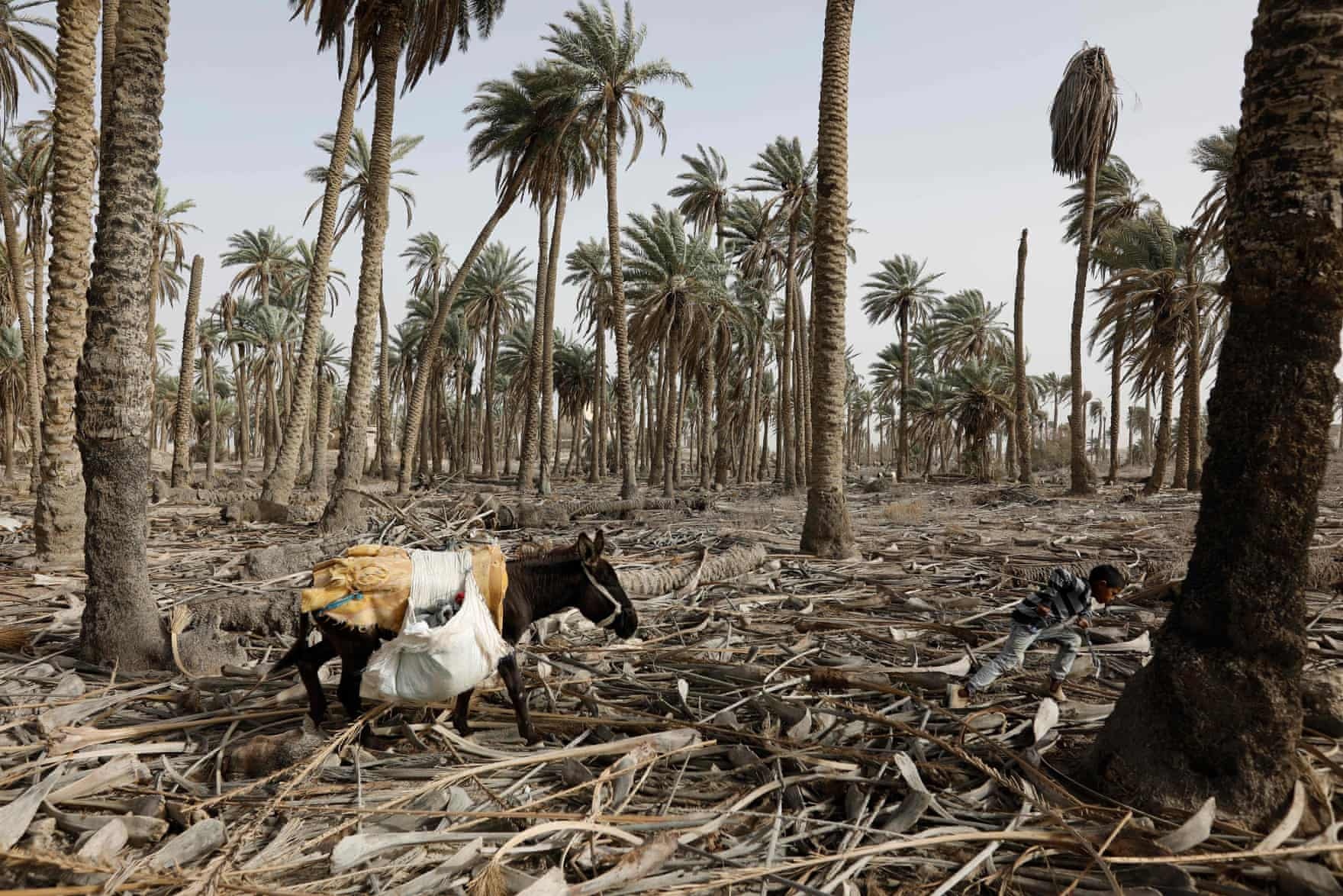 Nhung buc anh dep nhat tuan anh 4