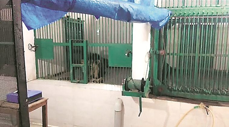 su tan cong lam chet nguoi o An Do anh 1