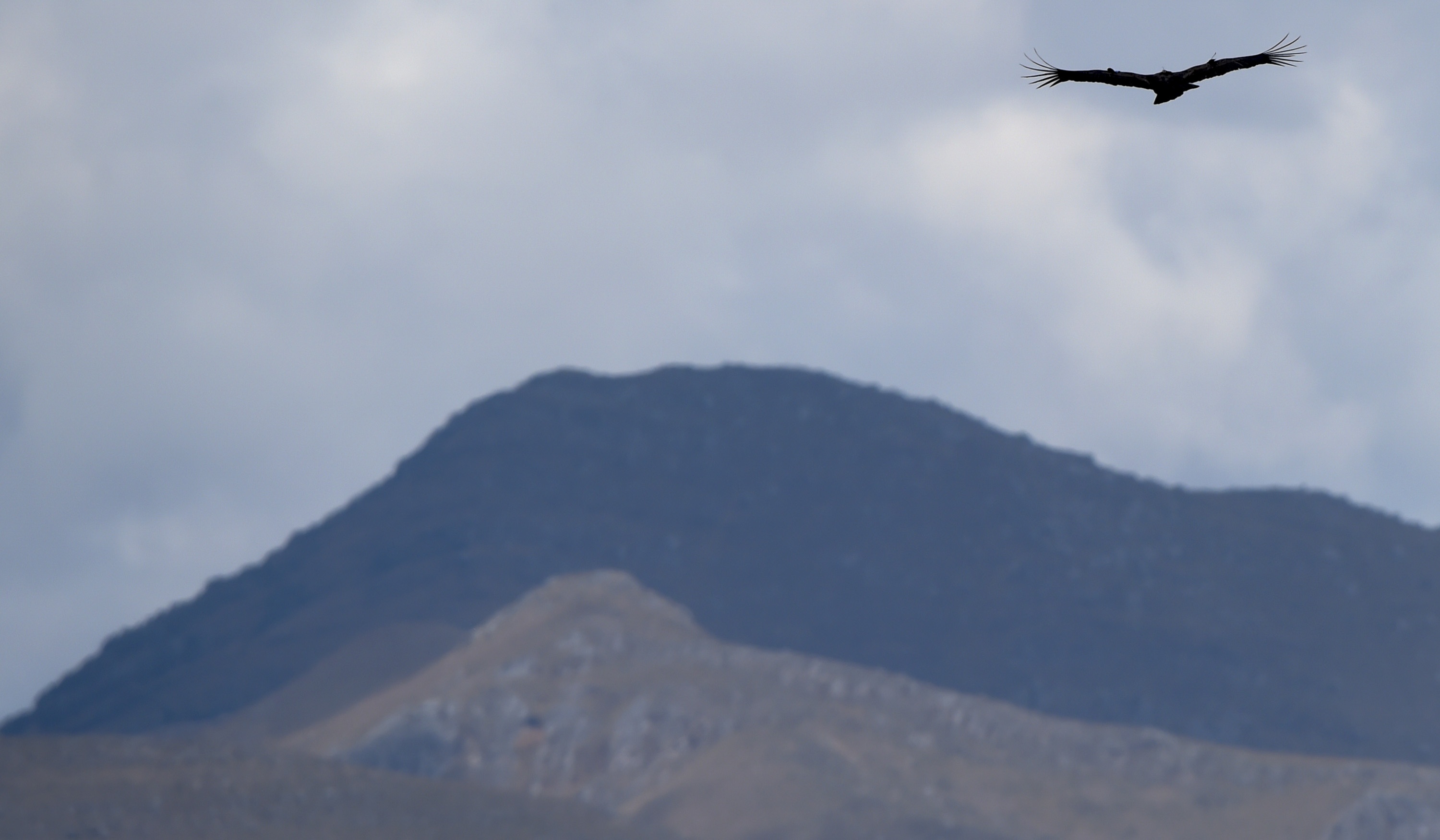 Than ung day Andes anh 10