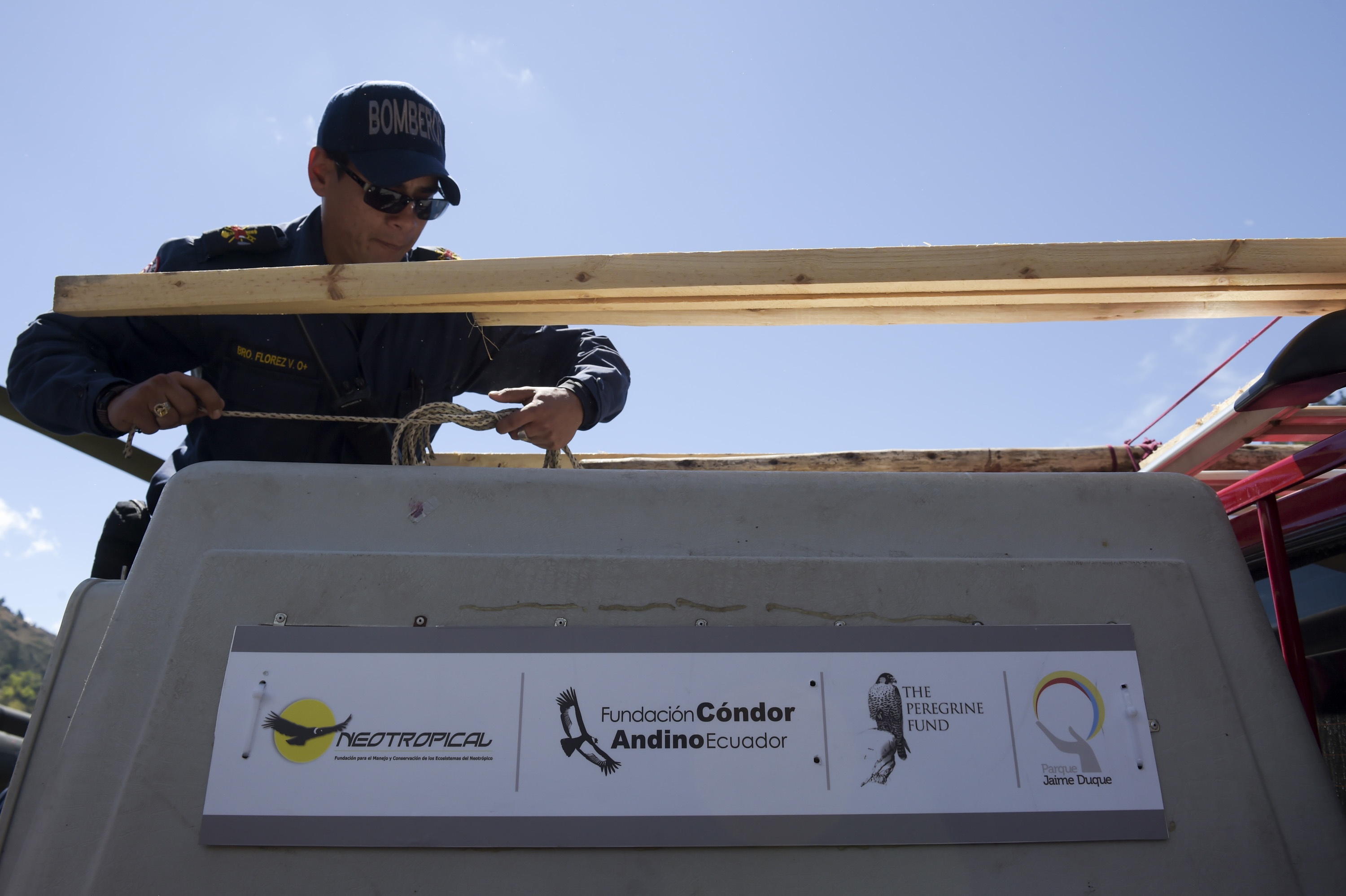 Than ung day Andes anh 5