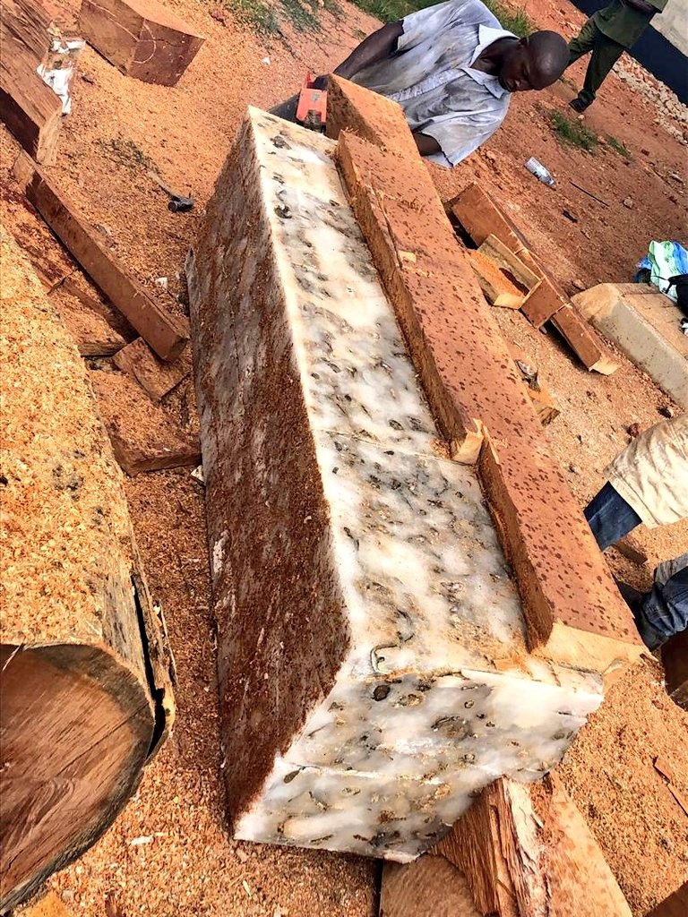 Uganda bắt giữ 2 người Việt buôn lậu ngà voi ảnh 1 Uganda bat giu 2 nguoi Viet buon lau nga voi anh 1