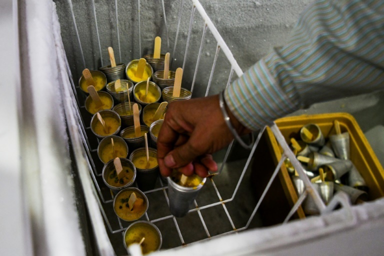 sữa lạc đà ở Ấn Độ ảnh 3 sua lac da o An Do anh 3