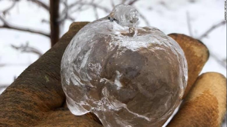 'Tao ma' xuat hien trong dot lanh ky luc o My hinh anh