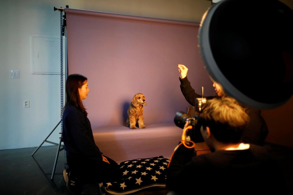 người Hàn ngại sinh con ảnh 3 nguoi Han ngai sinh con anh 3