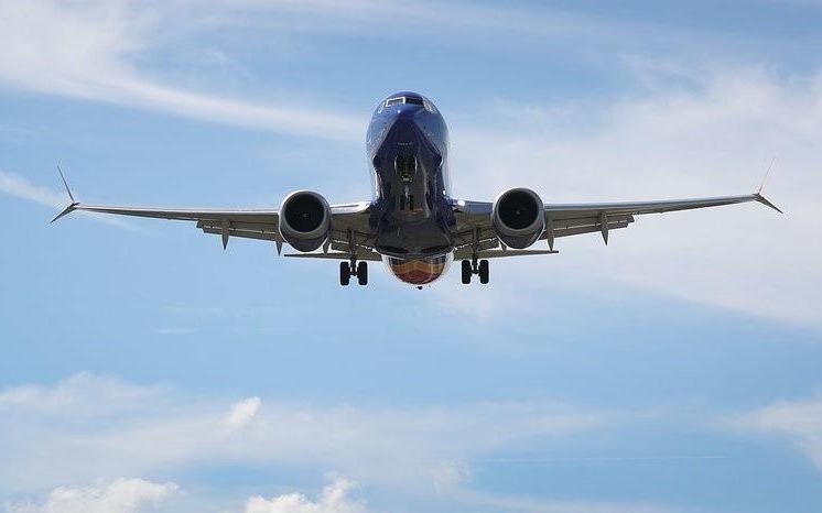 CEO Boeing dien dam voi TT Trump, de xuat khong cam bay 737 MAX 8 hinh anh