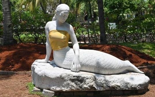 Indonesia: Tuong tien ca nguc tran bi ep mac ao hinh anh