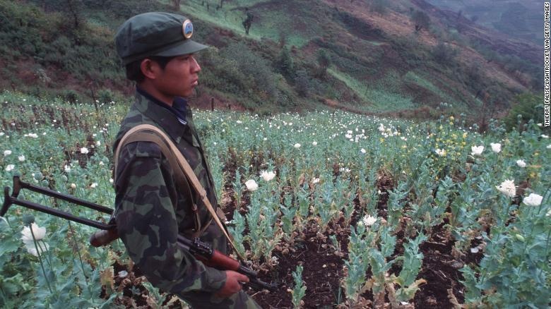 ma tuy Tam giac vang anh 2