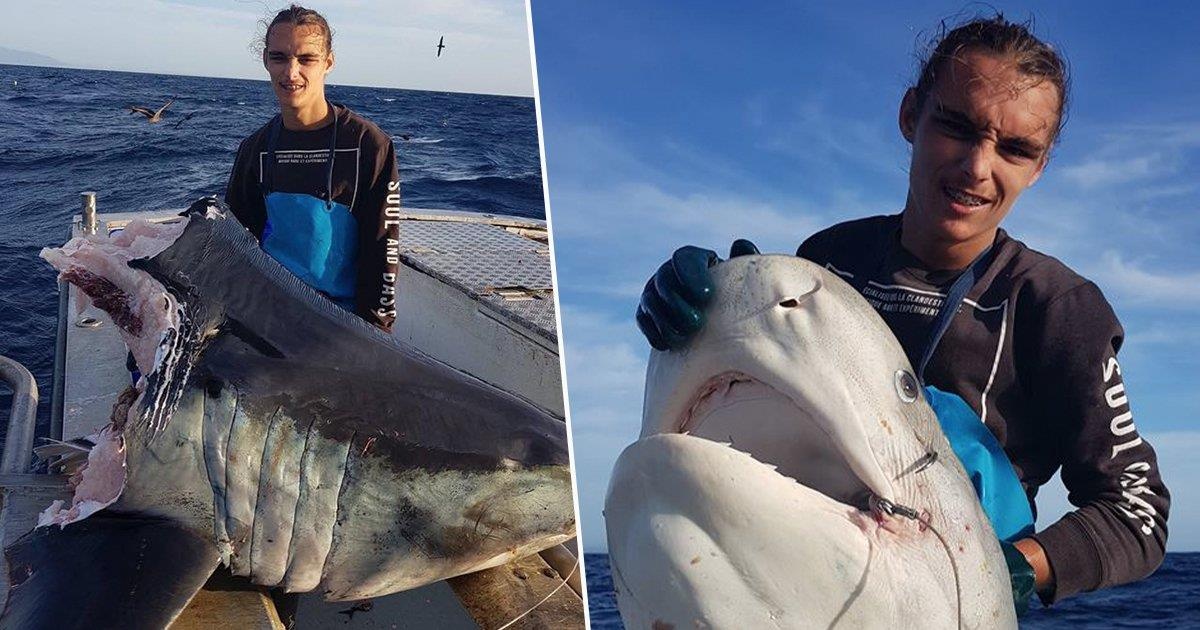 ca lon nuot ca be anh 1