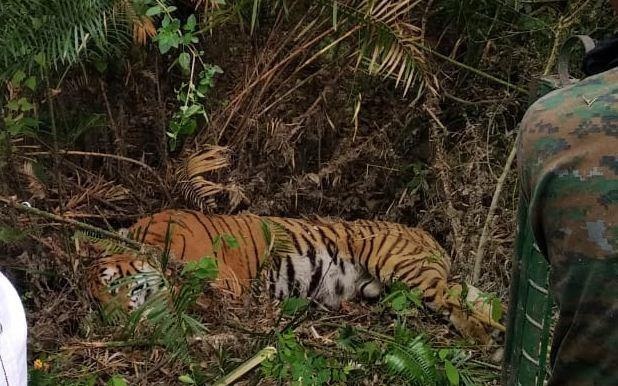 Dan lang An Do hoang hot vi ho xuat hien hinh anh