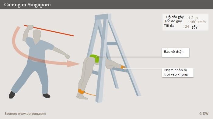 Nguoi Viet bi danh don vi qua han visa 10 nam o Singapore anh 1