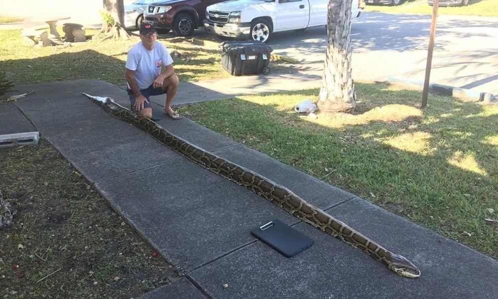 Tran Mien Dien xam chiem bang Florida anh 3