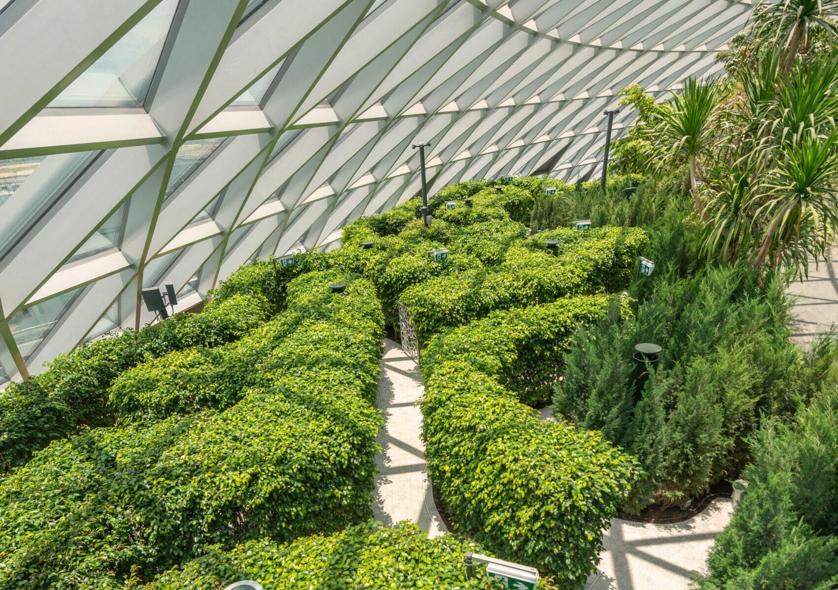 nhà ga mới của sân bay Changi ảnh 10 nha ga moi cua san bay Changi anh 10