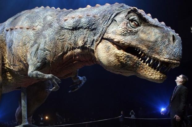 Tim thay hoa thach khung long 220 trieu nam tuoi o Argentina hinh anh