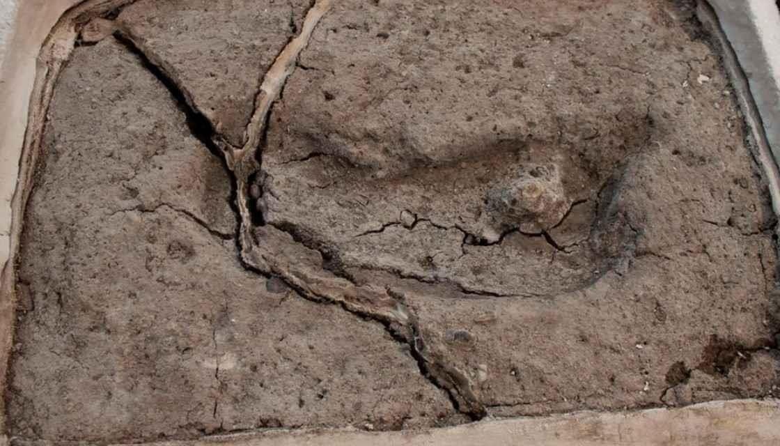 Dau chan 15.600 nam tuoi xac nhan lich su loai nguoi tai chau My hinh anh