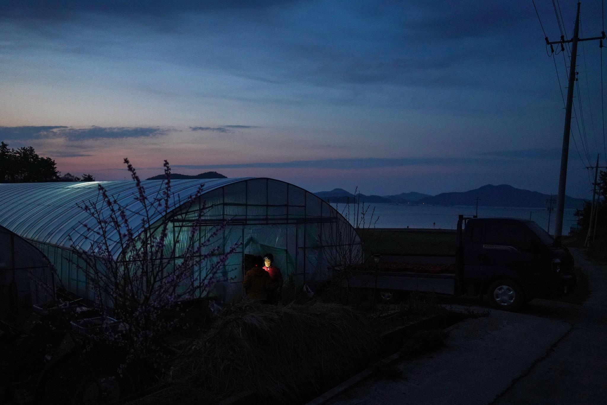 nguoi gia di hoc o Han Quoc anh 8