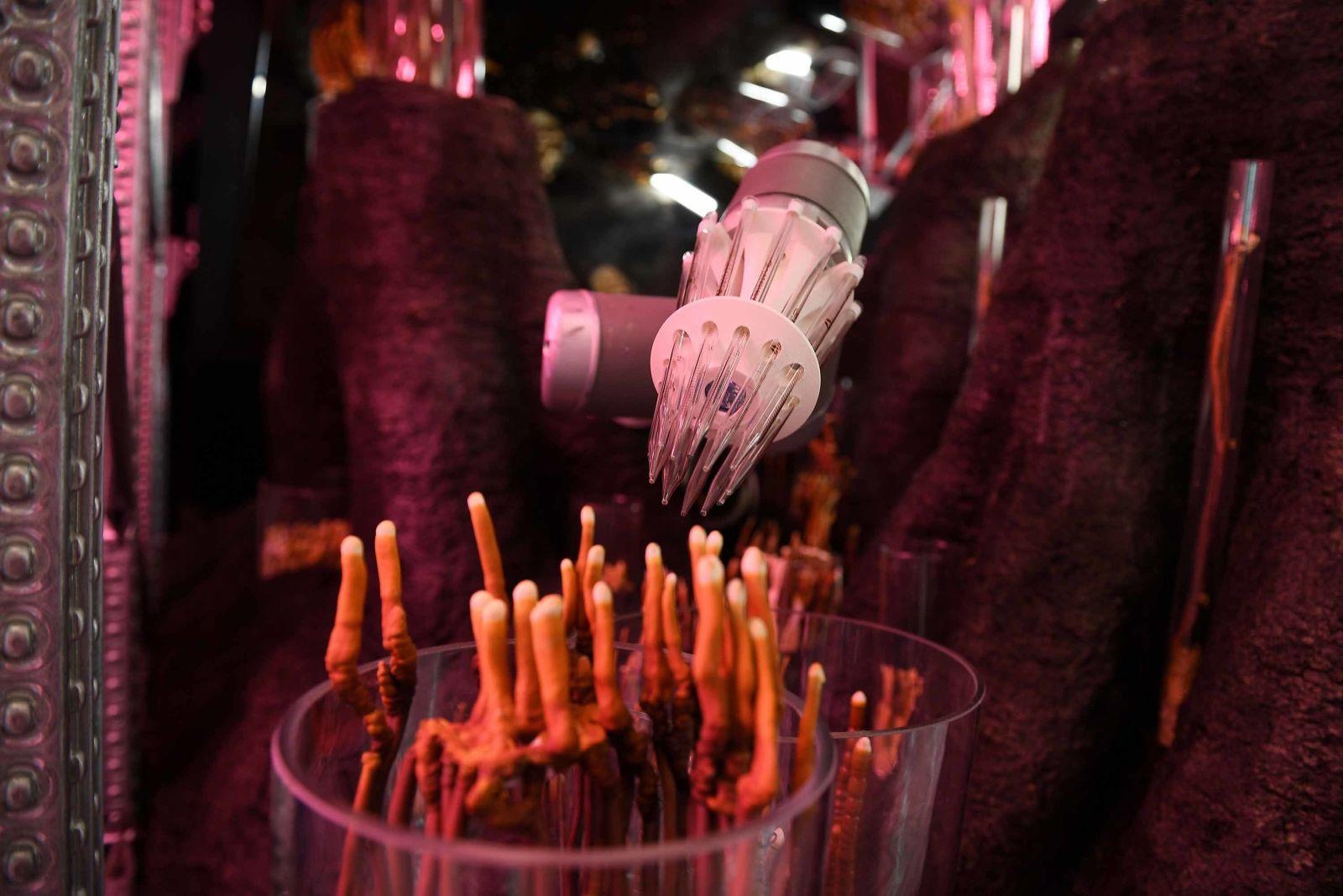 le hoi hoa lon nhat nuoc Anh anh 7