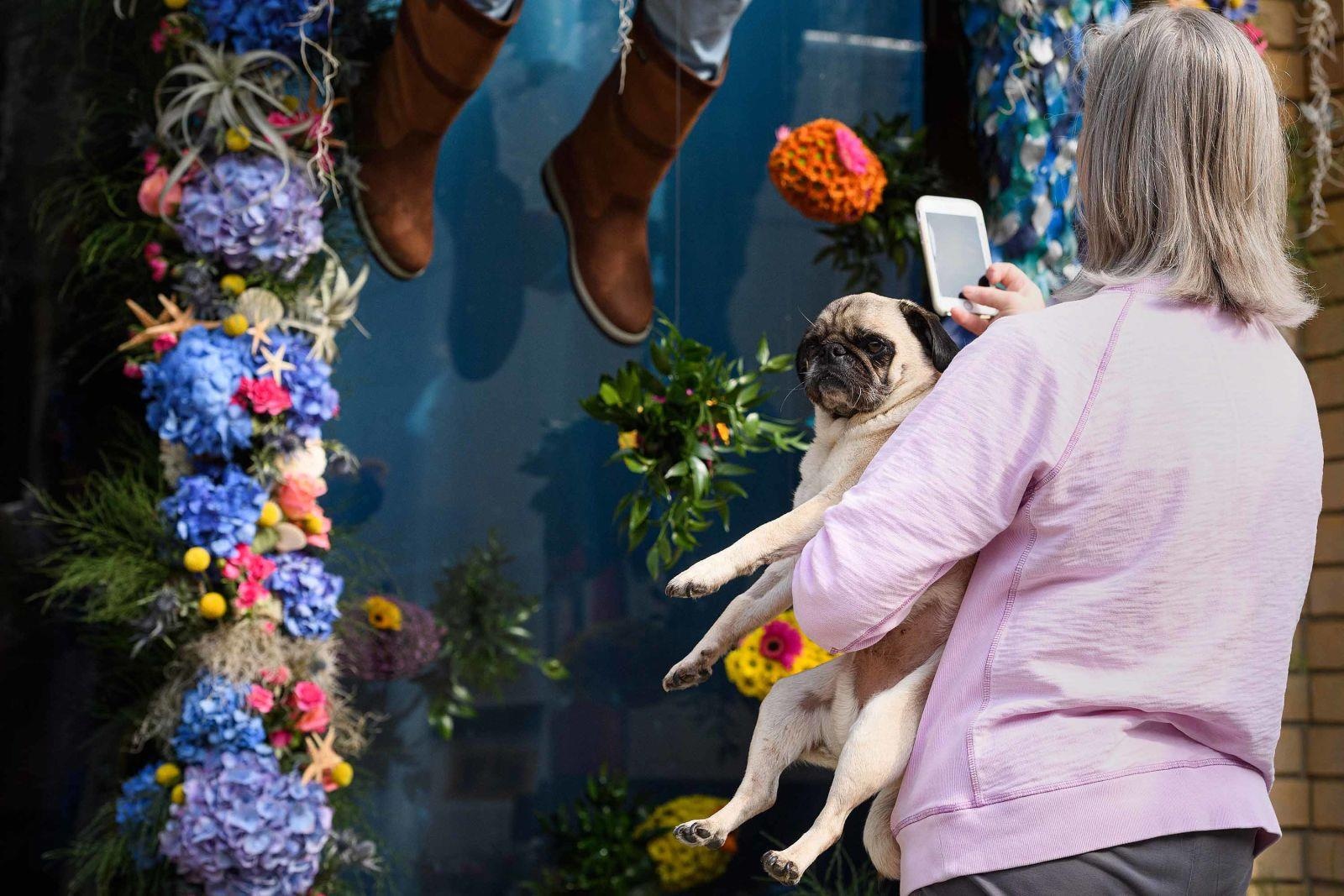 le hoi hoa lon nhat nuoc Anh anh 8