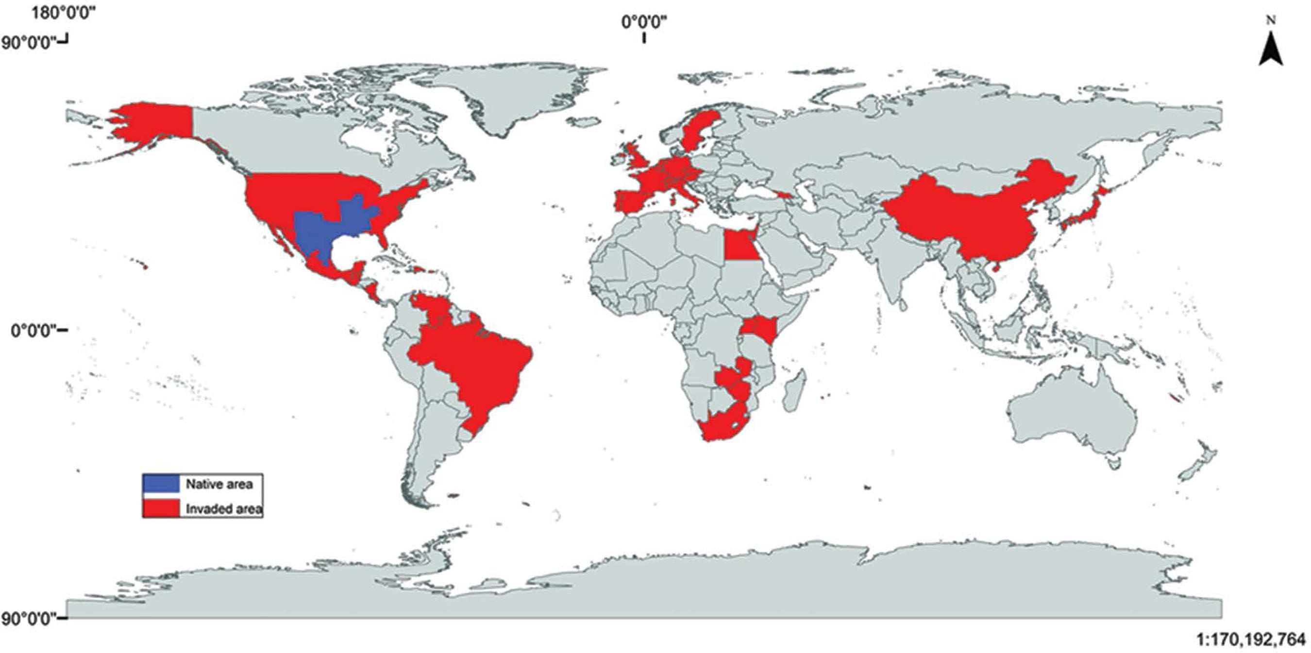 Tom hum dat pha hoai nhieu noi tren the gioi anh 2
