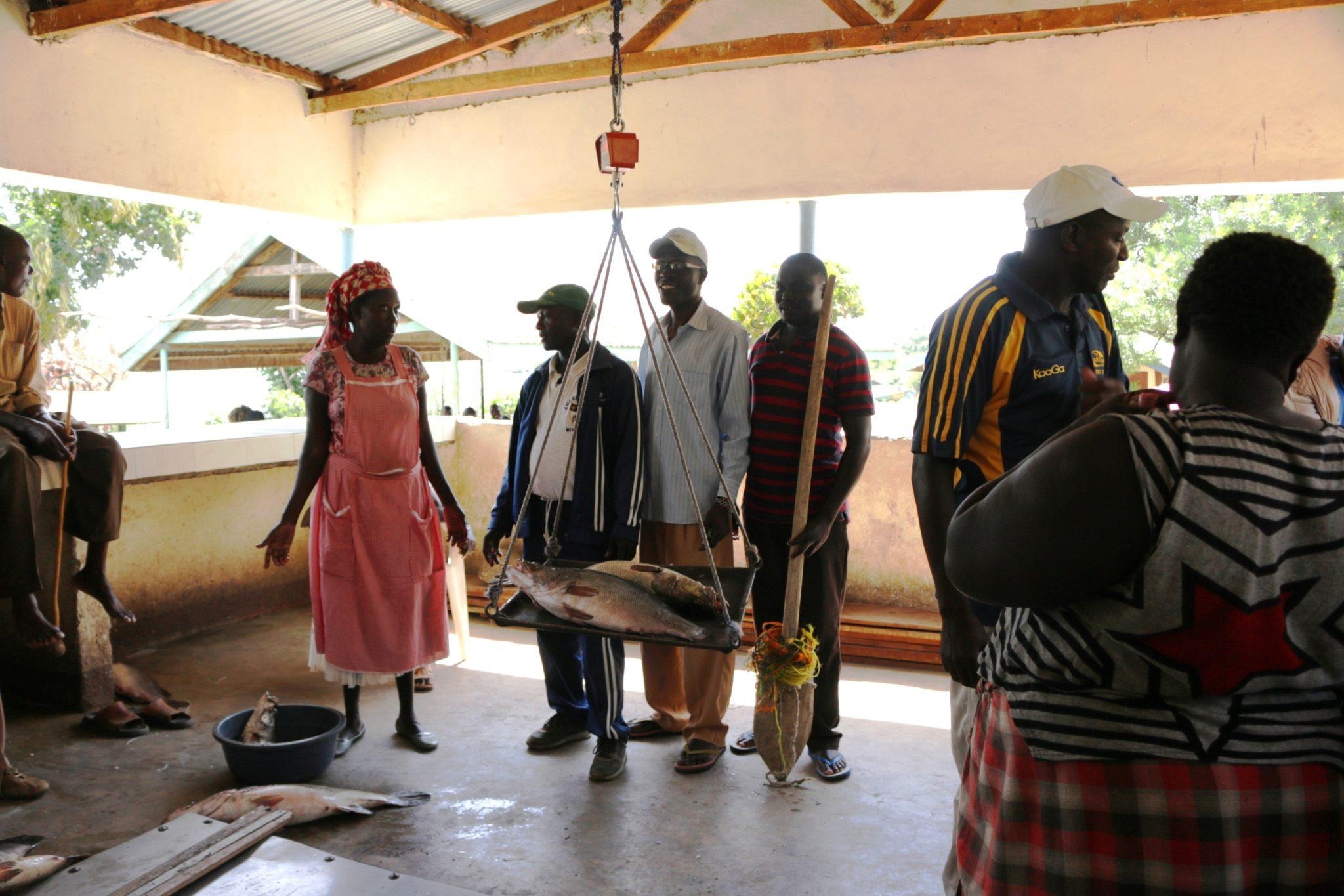 Ca ro song Nile sap tuyet chung vi Trung Quoc anh 8