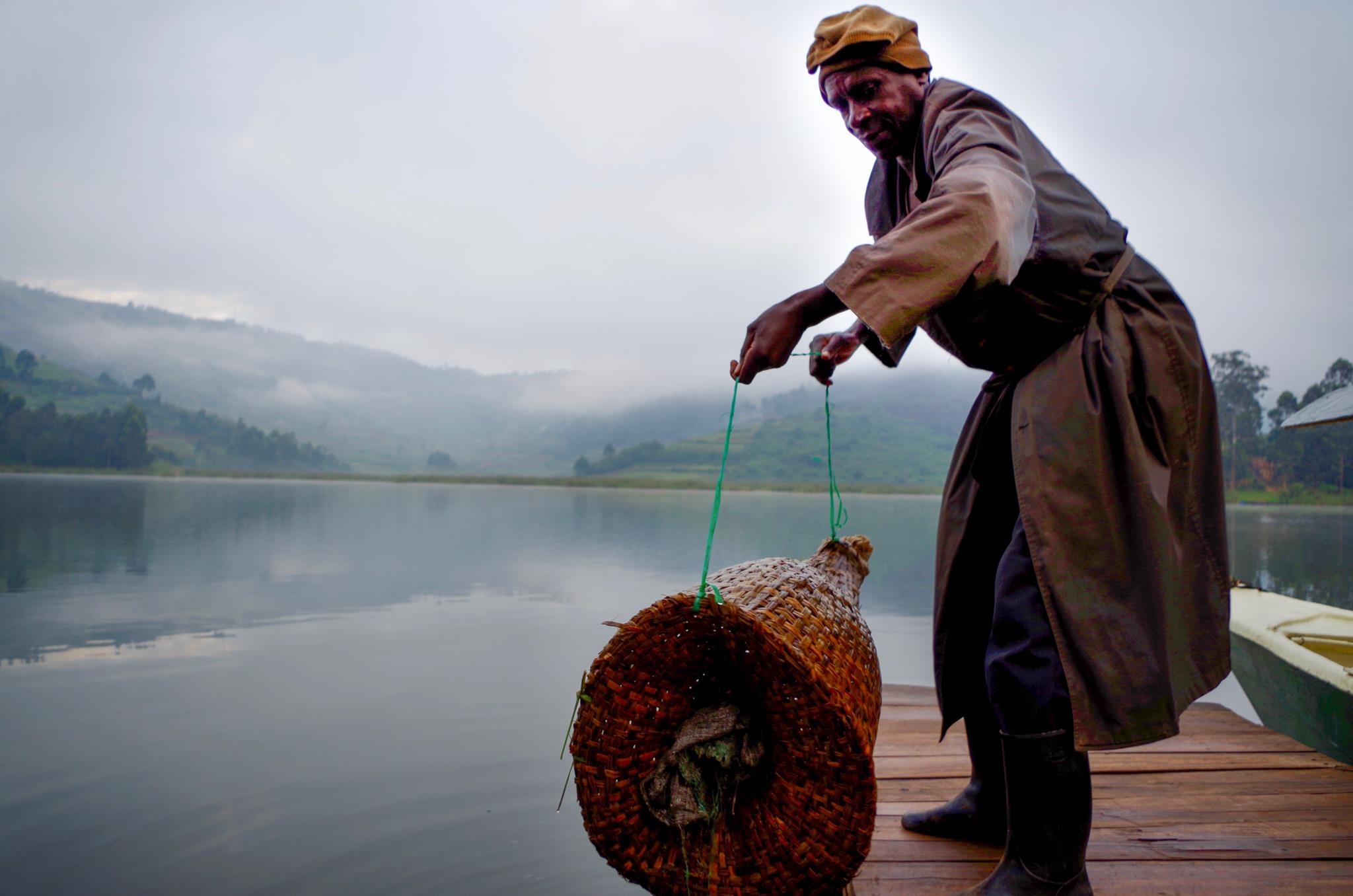 tham hoa tom hum dat anh 1