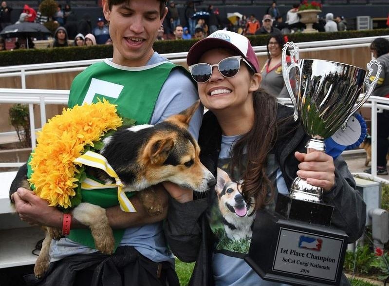 dua cho Corgi o My anh 10