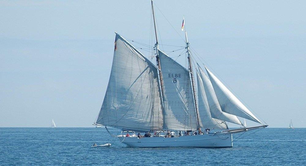 Vua tu sua het 1,5 trieu euro, tau go the ky 19 chim vi dam tau hang hinh anh