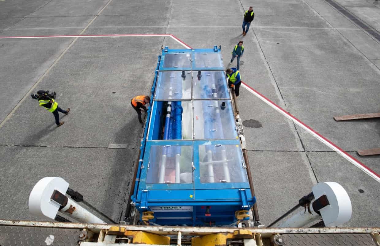 Ca voi Beluga thoat khoi thuy cung o TQ anh 7