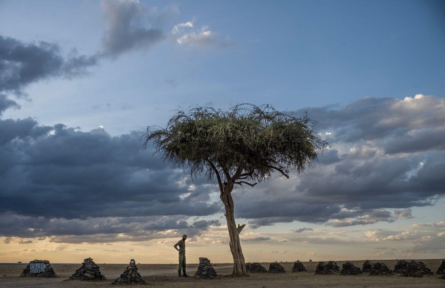 2 con te giac trang cuoi cung anh 10