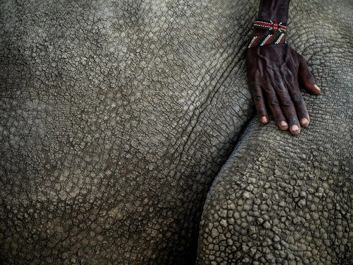 2 con te giac trang cuoi cung anh 3