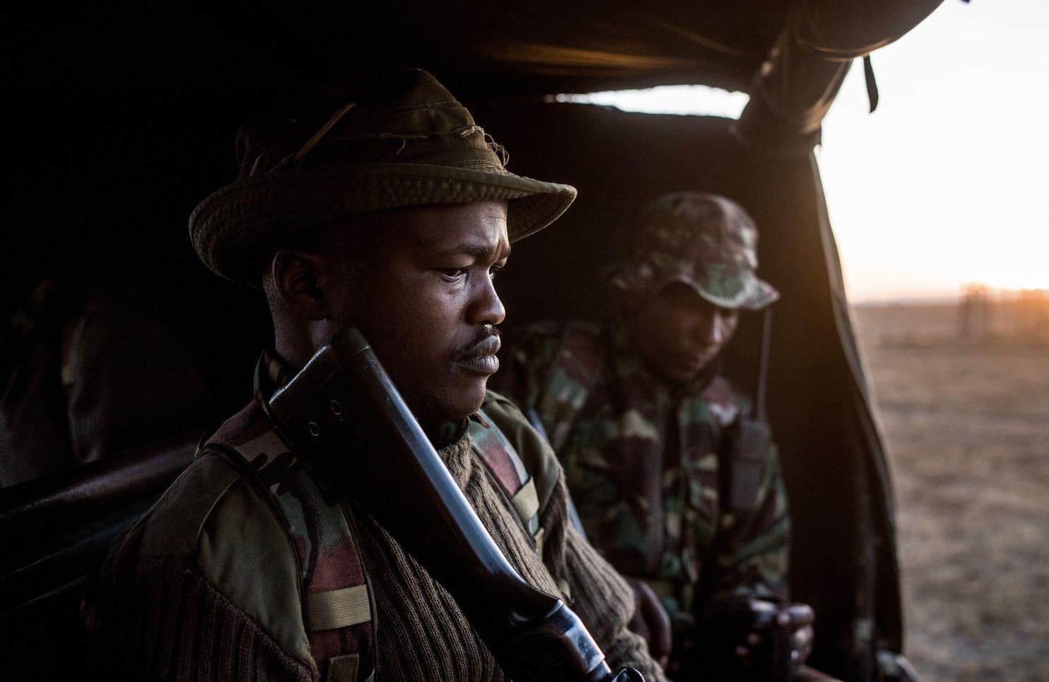 2 con te giac trang cuoi cung anh 7