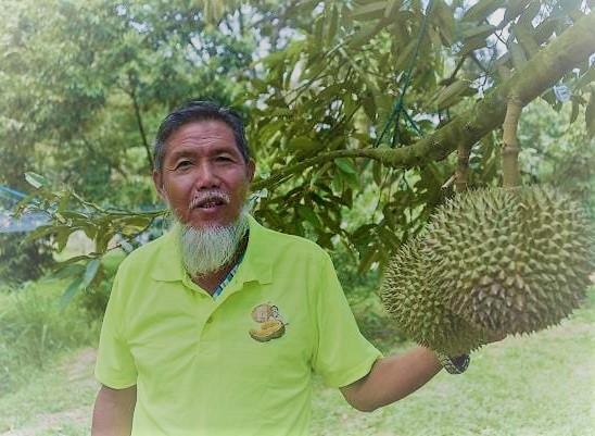 Con sot sau rieng o TQ giup nong dan Malaysia thanh trieu phu hinh anh