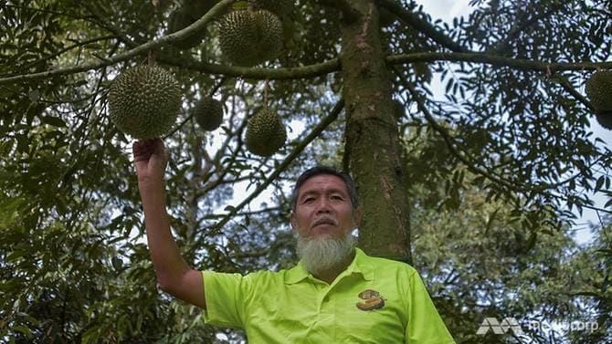 Cơn sốt sầu riêng Trung Quốc ảnh 2 Con sot sau rieng Trung Quoc anh 2