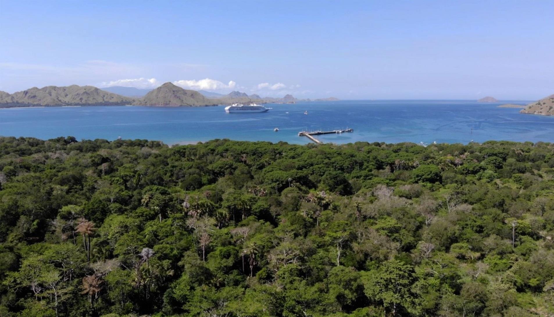 Nguoi dan dao Komodo lo so phai roi di anh 3