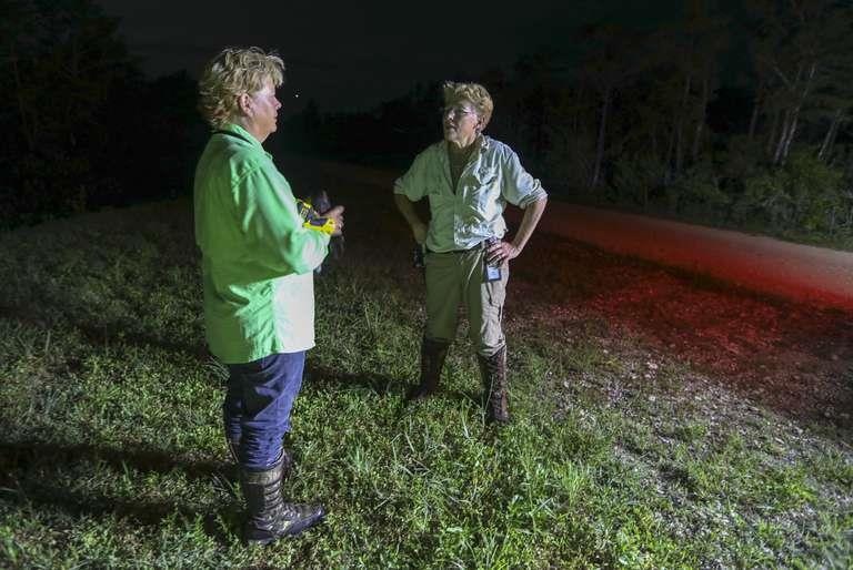 Tran xam chiem bang Florida anh 1