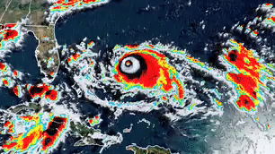 Bao Dorian da kho doan, My con khon kho vi cac chuyen gia 'ban phim' hinh anh