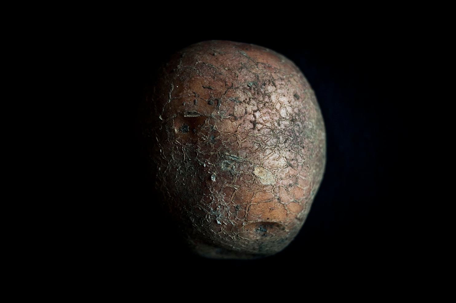 30 năm sau thảm họa Chernobyl ảnh 12 30 nam sau tham hoa Chernobyl anh 12