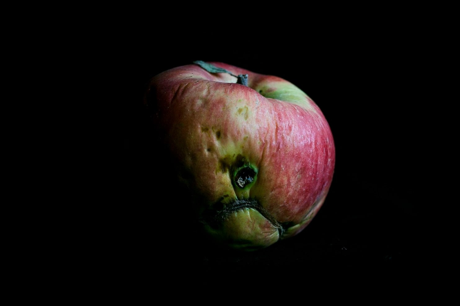 30 năm sau thảm họa Chernobyl ảnh 4 30 nam sau tham hoa Chernobyl anh 4