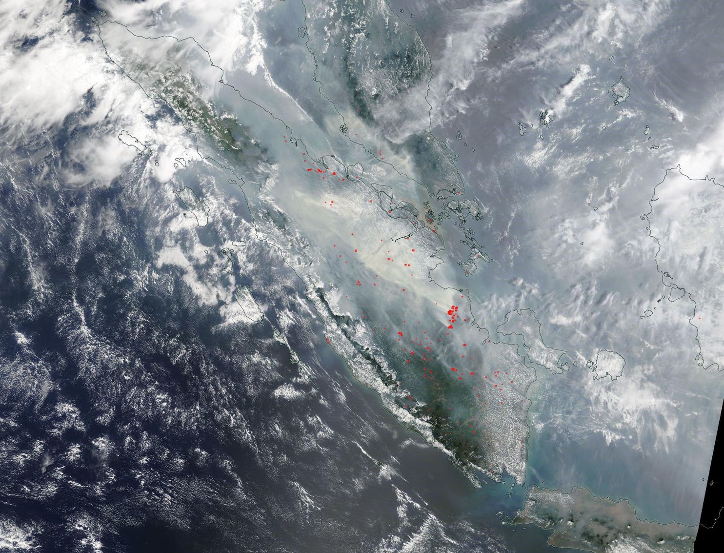 Indonesia ngạt thở trong làn khói dày đặc do cháy rừng ảnh 11 Indonesia ngat tho trong lan khoi day dac do chay rung anh 11