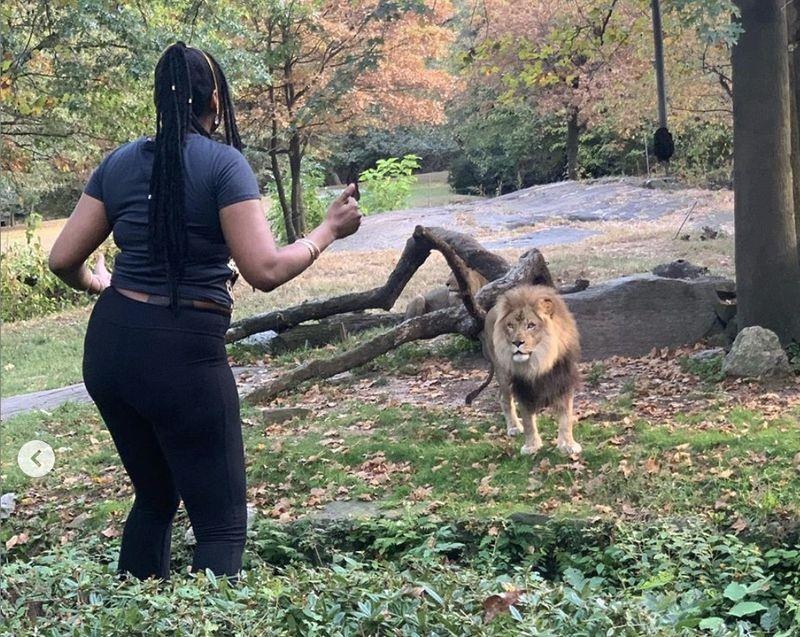 Co gai nhay vao chuong treu su tu o New York hinh anh