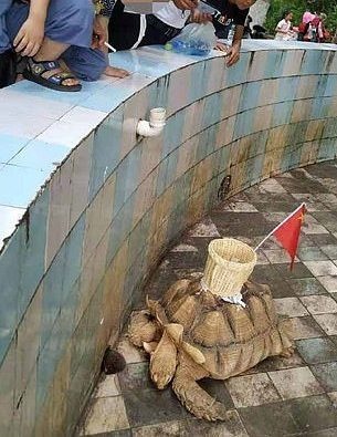 Vườn thú Trung Quốc gây tranh cãi ảnh 1 Vuon thu Trung Quoc gay tranh cai anh 1