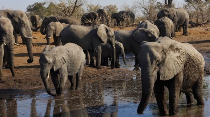 Cuoc bau cu quoc gia se duoc dinh doat boi kim cuong va voi hinh anh