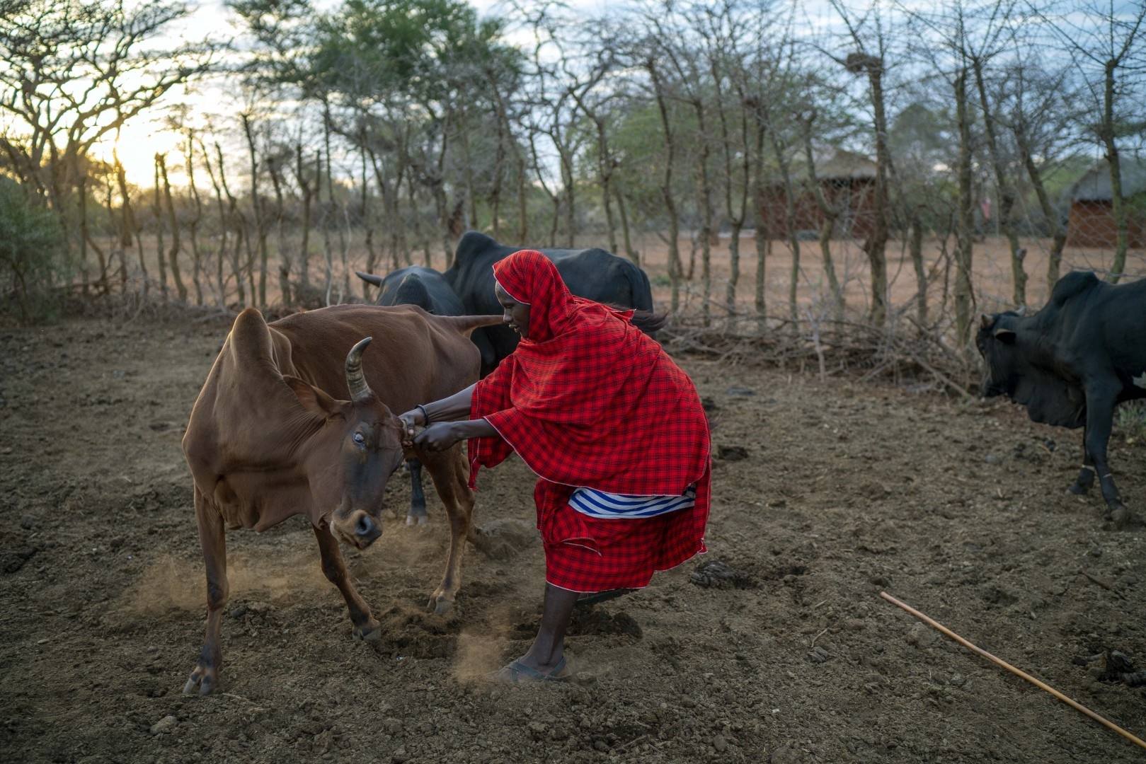 Noi nguoi va su tu chung song hoa thuan anh 4
