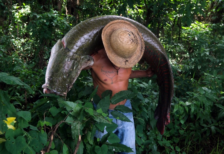 Di san thuy quai song Amazon anh 5