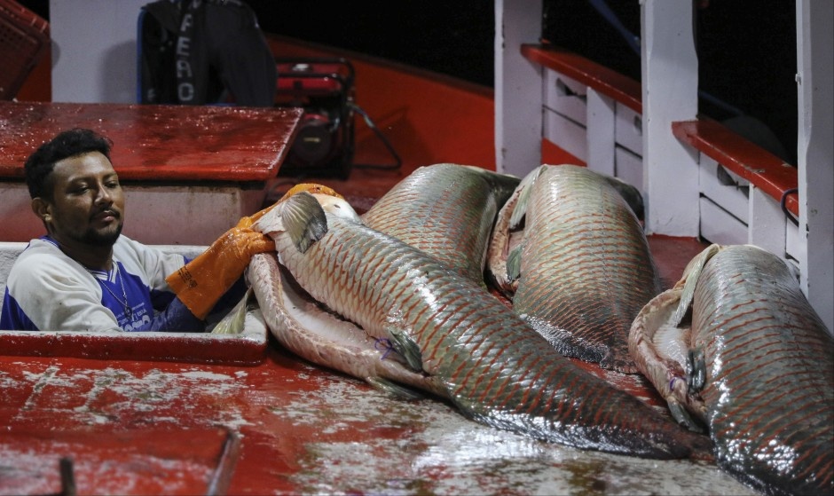 Di san thuy quai song Amazon anh 7