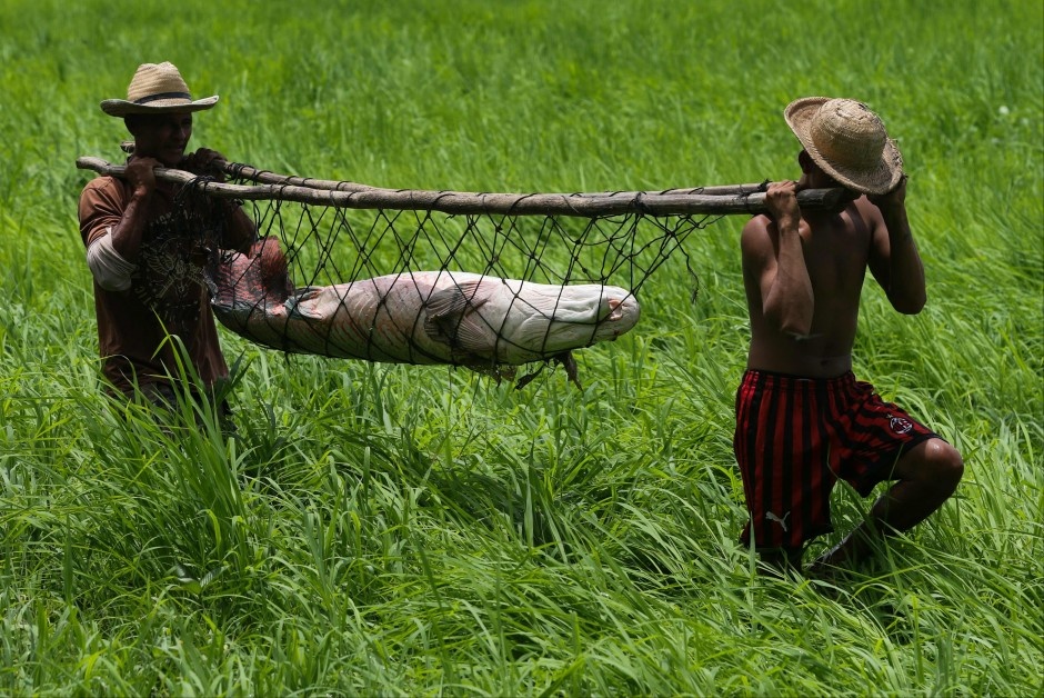 Di san thuy quai song Amazon anh 9