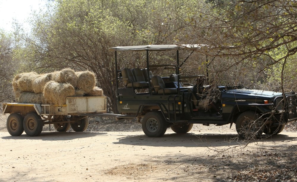 han han lam voi chet anh 6