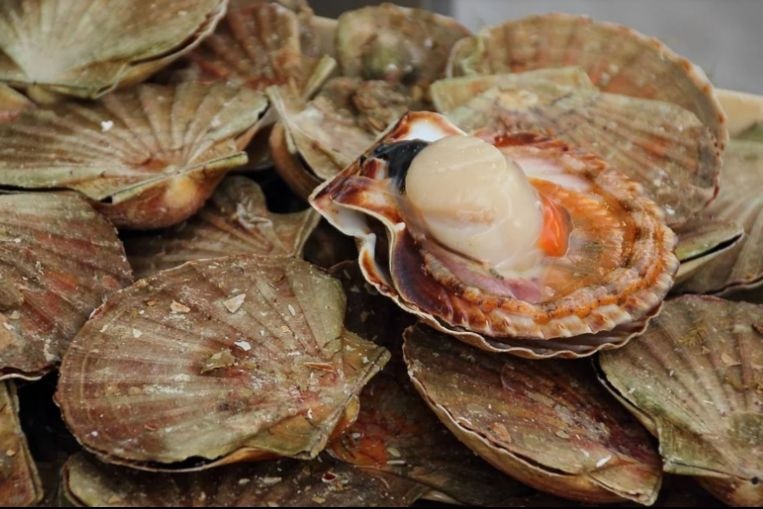 So diep Trung Quoc chet hang loat anh 1