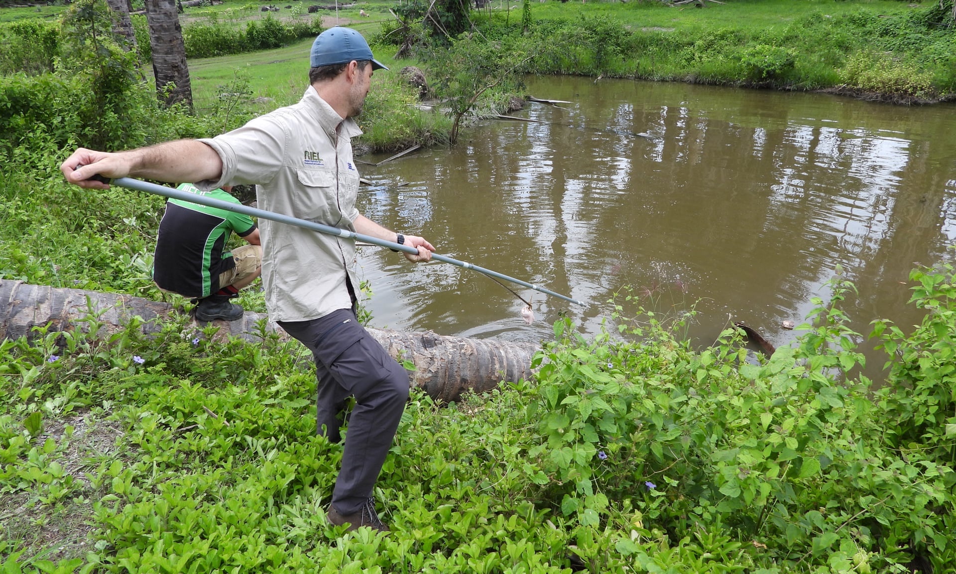 Người dân Timor Leste ngày càng lo sợ cá sấu ảnh 2 Nguoi dan Timor Leste ngay cang lo so ca sau anh 2
